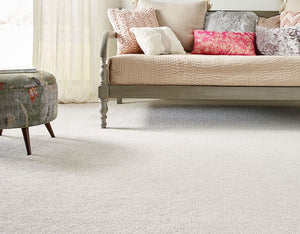Shaw Colorwall Premium Carpet
