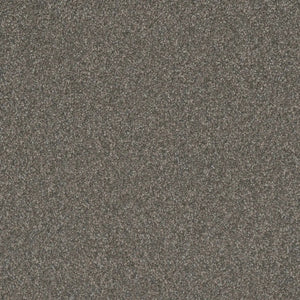DreamWeaver Gold Standard Carpet Collection Graphite