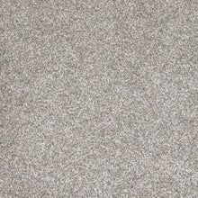 Load image into Gallery viewer, DreamWeaver Gold Standard Carpet Collection Glitter