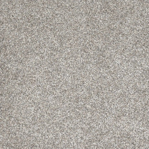 DreamWeaver Gold Standard Carpet Collection Glitter