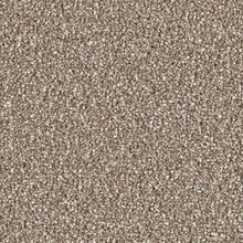 Load image into Gallery viewer, Carpet Remnants - Huge Savings!