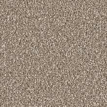 Load image into Gallery viewer, Carpet Remnants - Huge Savings! Cape Cod Acorn 11’3”x14’