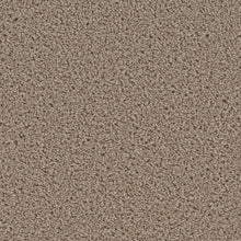 Load image into Gallery viewer, Carpet Remnants - Huge Savings! Broadcast Plush Ash 12&#39;x8&#39;9&quot;
