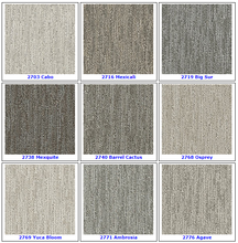 Load image into Gallery viewer, Textured Loop Carpet - Dreamweaver Select - Great Deal @ $4.29/SF Century