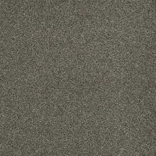 Load image into Gallery viewer, Carpet Remnants - Huge Savings!