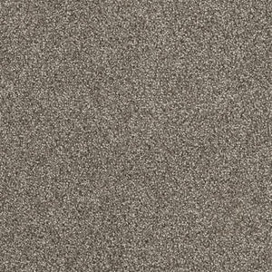 Carpet Remnants - Huge Savings! Malibu l Baltic Birch 12’x3’9”