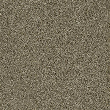 Load image into Gallery viewer, Carpet Remnants - Huge Savings!