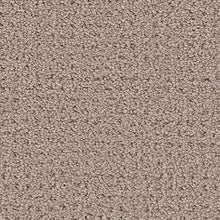 Load image into Gallery viewer, Carpet Remnants - Huge Savings! Dreamweaver Structure Ice 12'x10' edges bound