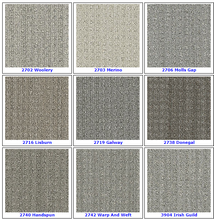 Load image into Gallery viewer, Textured Loop Carpet - Dreamweaver Select - Great Deal @ $4.29/SF