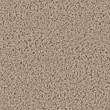 Load image into Gallery viewer, Carpet Remnants - Huge Savings! Malibu 1 Dusk 12x5&#39;8&quot;