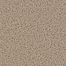 Load image into Gallery viewer, Carpet Remnants - Huge Savings! Malibu 1 Dusk 12x5'8"