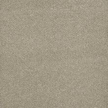 Load image into Gallery viewer, Carpet Remnants - Huge Savings! Malibu 1 Embers 12&#39;x27&quot;