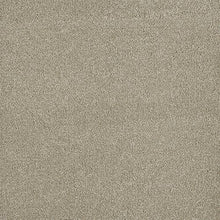 Load image into Gallery viewer, Carpet Remnants - Huge Savings! Malibu 1 Embers 12'x27"