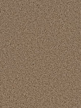 Load image into Gallery viewer, Carpet Remnants - Huge Savings! Broadcast Plus Honey Beige 12x4'9"
