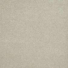 Load image into Gallery viewer, Carpet Remnants - Huge Savings! Malibu 1 Iceberg 12'x4'6"