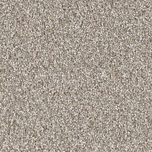Load image into Gallery viewer, Carpet Remnants - Huge Savings! Montauk Iron Frost 12’x3’9”