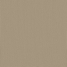 Load image into Gallery viewer, Carpet Remnants - Huge Savings! Shaw Kickoff Frost 12'x16'