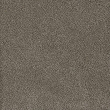 Load image into Gallery viewer, Carpet Remnants - Huge Savings! Monte Carlo Fawn 12'x12'
