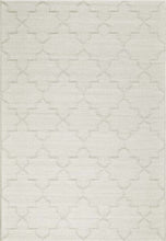 Load image into Gallery viewer, Outdoor Patio Rugs - In-Stock Sale! 6001
