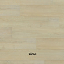 Load image into Gallery viewer, Rapido Luxury Vinyl (Looselay) - By Beaulieu Pescara