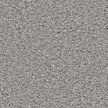 Load image into Gallery viewer, Carpet Remnants - Huge Savings! Spartacus Sandy Beige 12’x9’