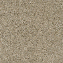 Load image into Gallery viewer, Carpet Remnants - Huge Savings!