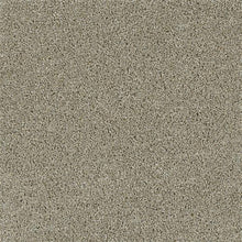 Load image into Gallery viewer, Carpet Remnants - Huge Savings! Acclaim Rhinestone 12'x5'6"