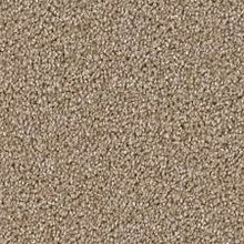 Load image into Gallery viewer, Carpet Remnants - Huge Savings! East Hampton Sawgrass 12'x12'9"