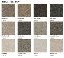 Load image into Gallery viewer, Carpet by Beaulieu Canada Splender