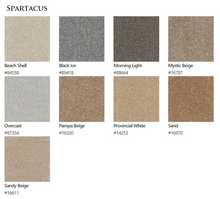 Load image into Gallery viewer, Carpet by Beaulieu Canada Spartacus