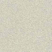 Load image into Gallery viewer, Carpet Remnants - Huge Savings! Infallible Twinkle 12&#39;x4&#39;3&quot;