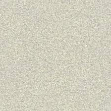 Load image into Gallery viewer, Carpet Remnants - Huge Savings! Infallible Twinkle 12'x4'3"