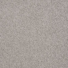 Load image into Gallery viewer, Carpet Remnants - Huge Savings! Beverley Grove Valley Mist 12'x12'