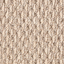 Load image into Gallery viewer, Carpet Remnants - Huge Savings! Simply Awesome Brassine 3’9”x12’