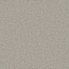 Load image into Gallery viewer, Berber or Loop Carpet - In-stock Deals - $1.09 to $1.89 per sq.ft. Interstellar - Bleached Wheat