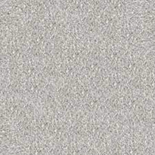 Load image into Gallery viewer, Carpet Remnants - Huge Savings! Spartacus Overcast 12'x11'