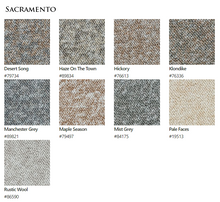 Load image into Gallery viewer, Carpet by Beaulieu Canada Sacramento