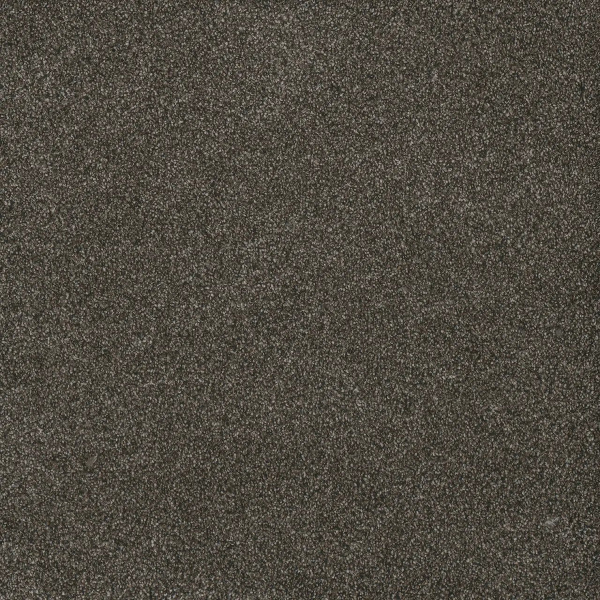 DreamWeaver Gold Standard Carpet Collection