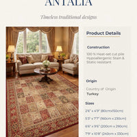 Tapis Cosmos Area Rugs