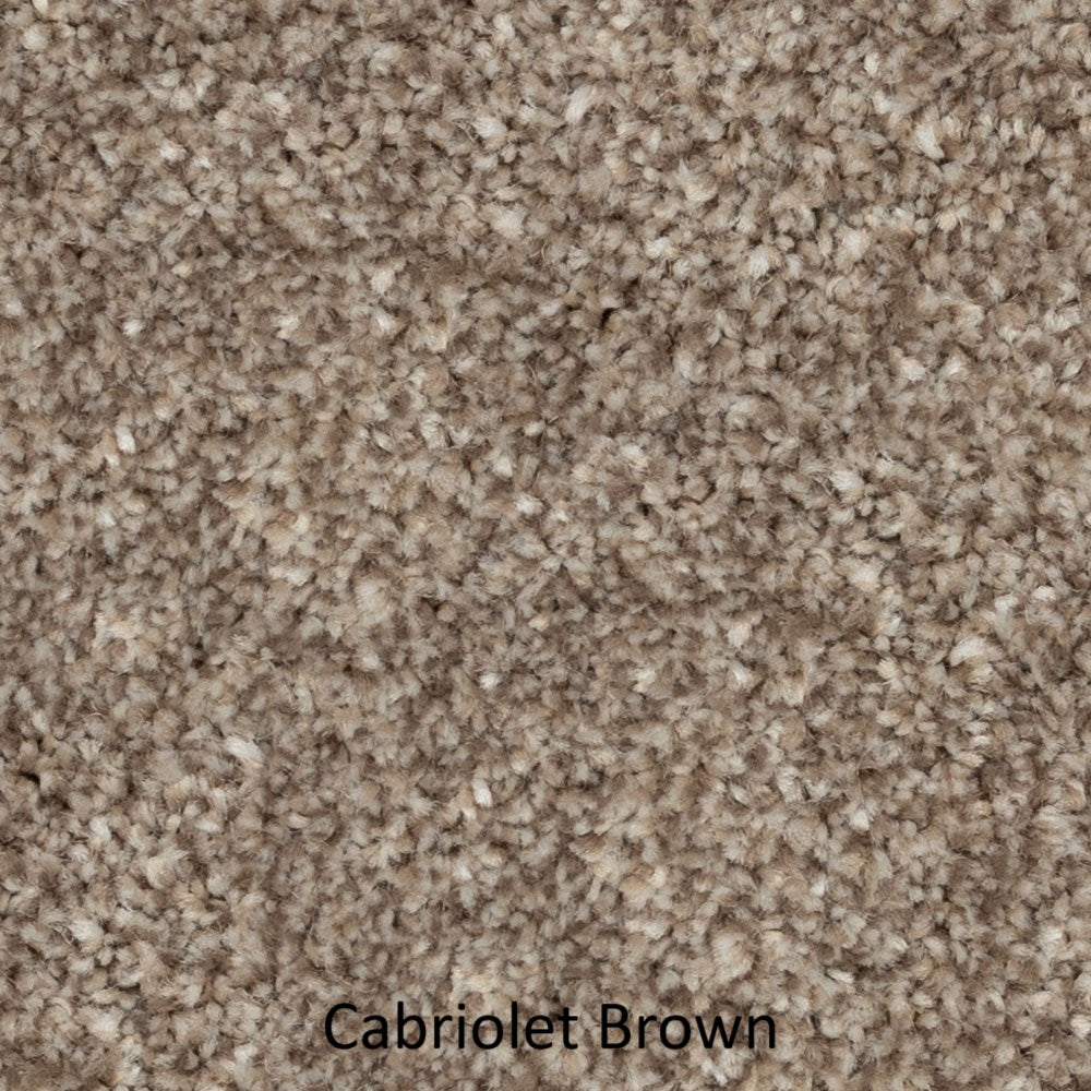 Carpet - Best Quality Plush - Brown