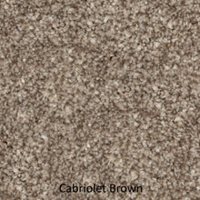 Load image into Gallery viewer, Carpet - Best Quality Plush - Brown