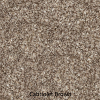 The Carpet Store: 60 oz. Signature Series (Canadian Made)