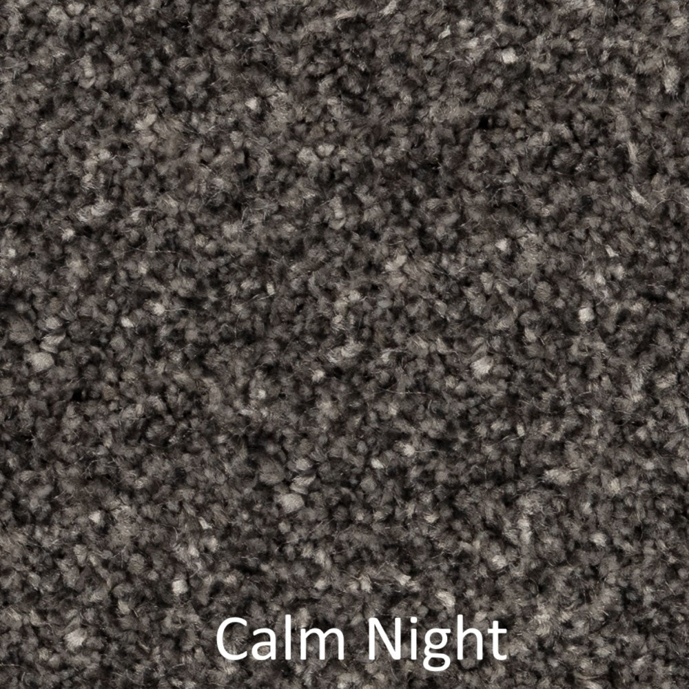 Carpet - Best Quality Plush - Dark Grey