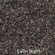 Load image into Gallery viewer, Carpet - Best Quality Plush - Dark Grey