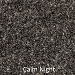 Carpet - Best Quality Plush - Dark Grey