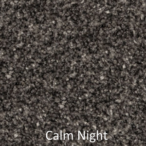 Carpet - Best Quality Plush - Dark Grey