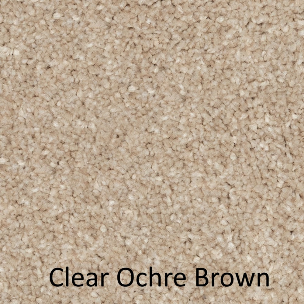 Carpet - Best Quality Plush - Brown
