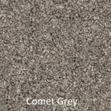 Load image into Gallery viewer, Carpet - Best Quality Plush - Light Grey