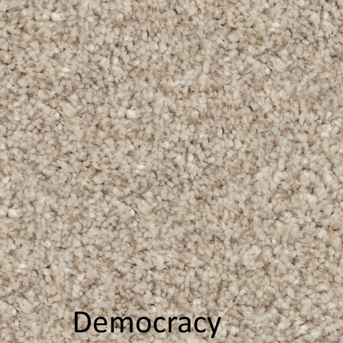 Carpet - Comfy Quality Plush (40-50 Oz.) - $2.49 to $2.99/sf