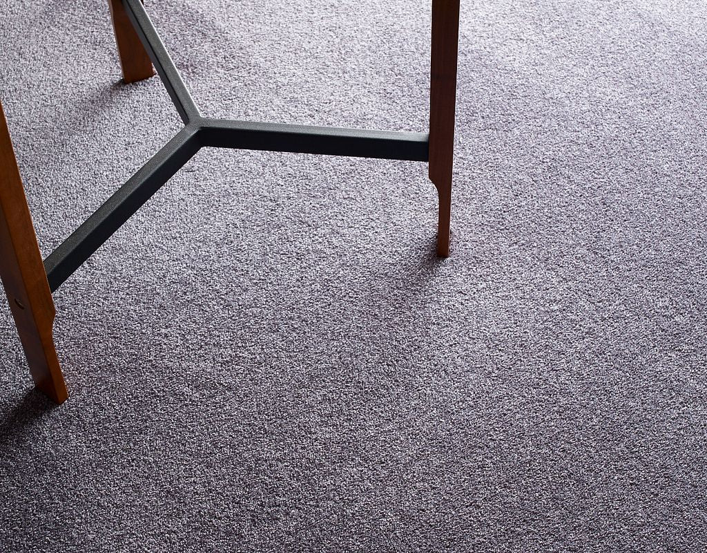 Shaw Colorwall Premium Carpet